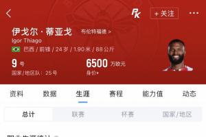 蜂王世界杯首秀！伊戈尔·蒂亚戈英超38场22球，但3月才巴西首秀