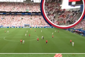 挪威主帅再谈飞猫悬案：球就是碰到了，若FIFA大方承认将更显格局